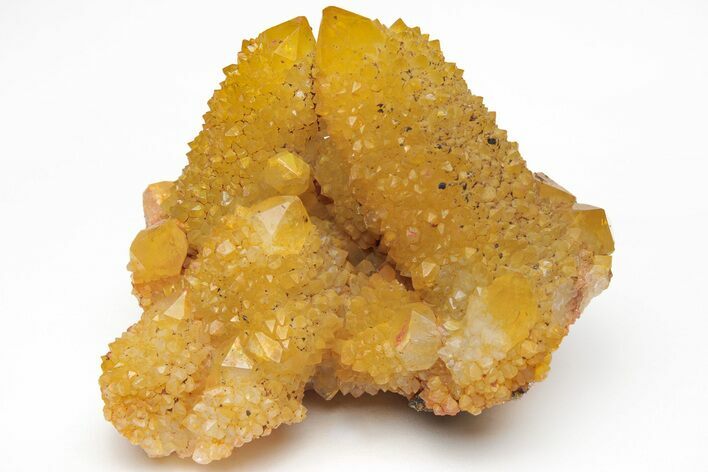 Sunshine Cactus Quartz Crystal Cluster - South Africa #212681